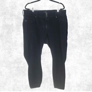 Torrid Dark Wash Skinny Jeans – Plus Size 20S | High Rise Stretch Denim | Short